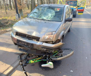 Te historie wyciskały łzy w 2025 roku. Bezsensowna śmierć, cierpienie zwierząt i niewytłumaczalna zbrodnia