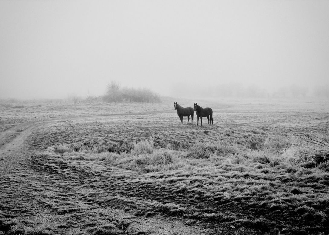 Fotografie Ewa Łuczywo Nowak