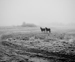 Fotografie Ewa Łuczywo Nowak