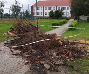 Sośno po nawałnicy. Potrzebne są ręce do pracy