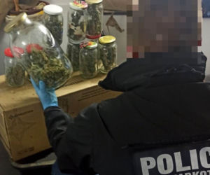 Plantacja marihuany za zamurowaną ścianą. Ogrodnikowi grozi do 10 lat więzienia