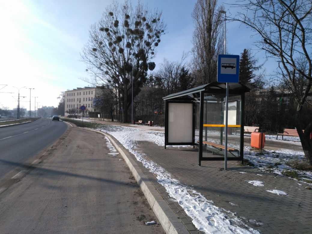 Przystanek-widmo straszy w Toruniu od trzech lat