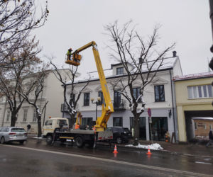 Wkrótce świąteczne iluminacje rozbłysną na ulicach Siedlec!