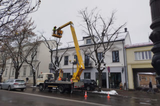 Wkrótce świąteczne iluminacje rozbłysną na ulicach Siedlec!