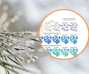 Potężne śnieżyce zasypią Pomorze! Jest dokładna data