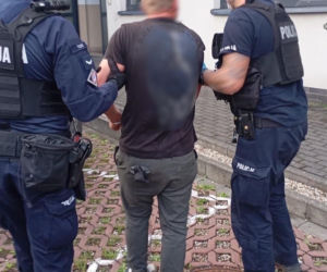 21-latek zaatakował policjantów młotkiem. Wcześniej strzelał do aut z wiatrówki
