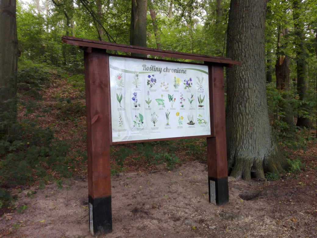 Ścieżka edukacyjna nad jez. Głębokim