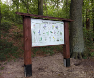 Ścieżka edukacyjna nad jez. Głębokim