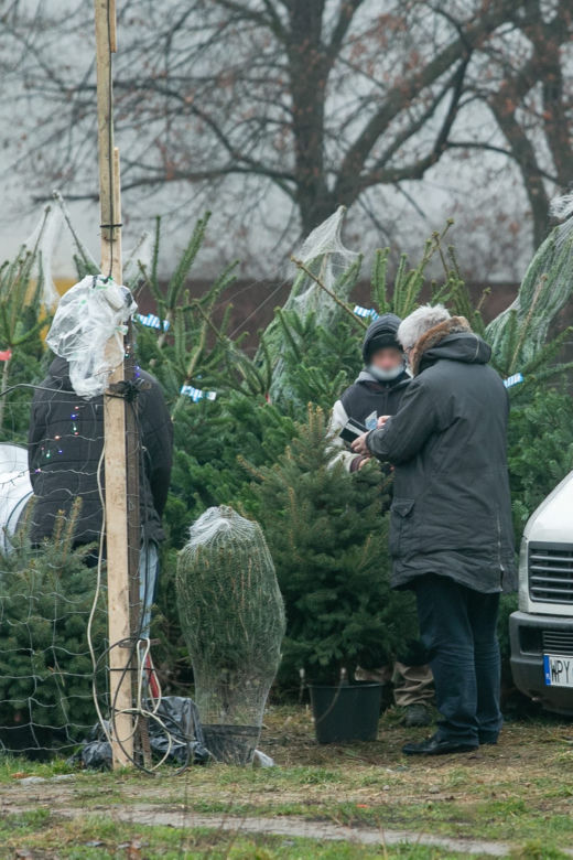 Ryszard Czarnecki. Pojedynek na choinki