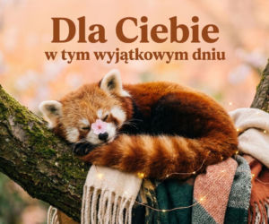 Panda czerwona z kwiatkiem na Dzień Kobiet