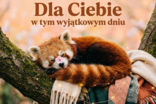 Piękne życzenia na Dzień Kobiet. Wzruszające i pełne ciepła teksty