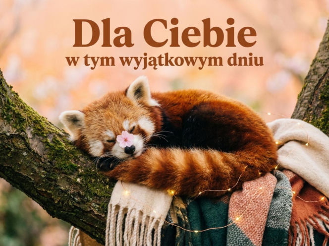 Panda czerwona z kwiatkiem na Dzień Kobiet