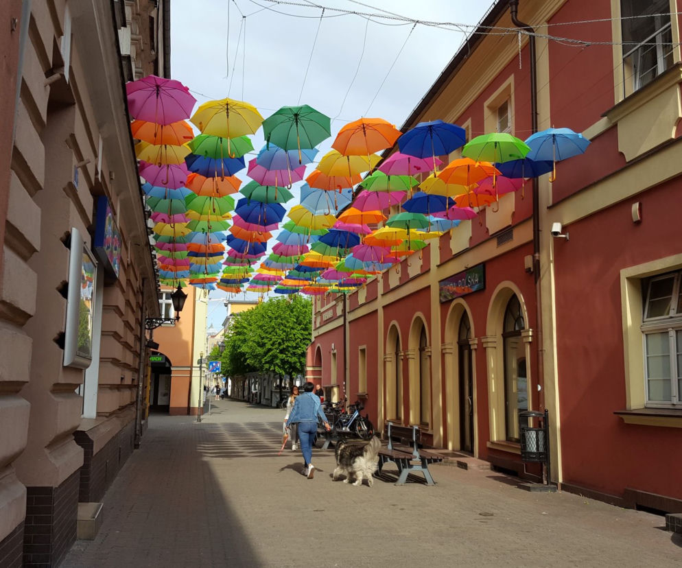Już prawie 27 proc. mieszkań w Lesznie spisało się w spisie powszechnym