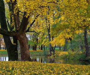 Rzeszów