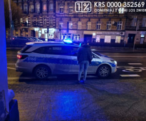 Makabra w centrum Wrocławia. Nie zauważył śmierci psa i karmił go łyżeczką 
