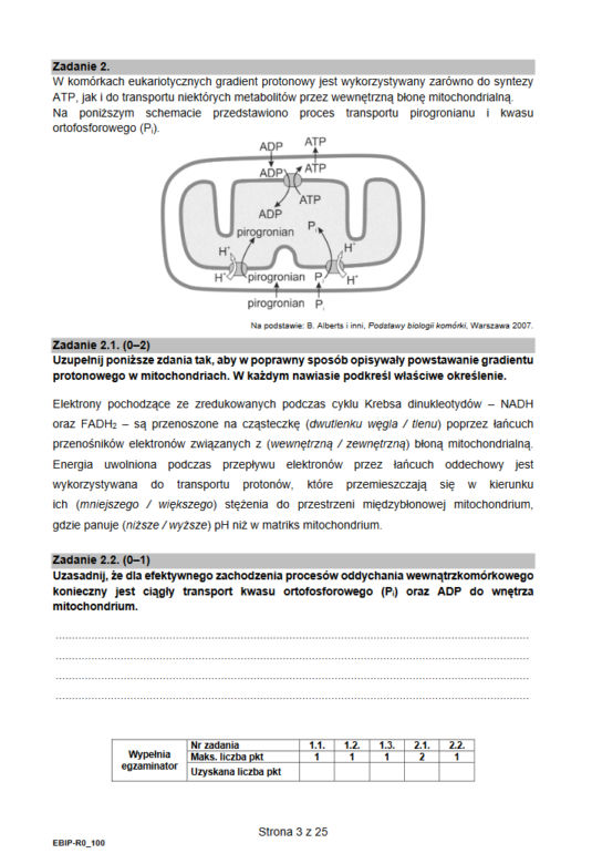 Matura biologia rozszerzona 2021 - arkusz CKE
