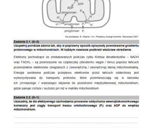 Matura biologia rozszerzona 2021 - arkusz CKE