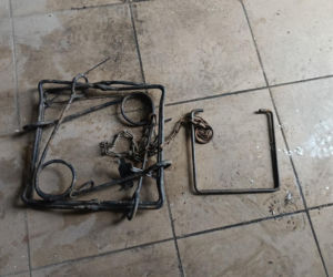 Policja rozbiła grupę złodziei bydła. Pięciu mężczyzn z zarzutami