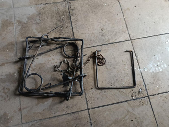 Policja rozbiła grupę złodziei bydła. Pięciu mężczyzn z zarzutami