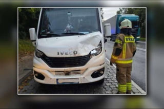Bus szkolny zderzył się z łosiem!  Pojazdem podróżowało kilkanaścioro dzieci
