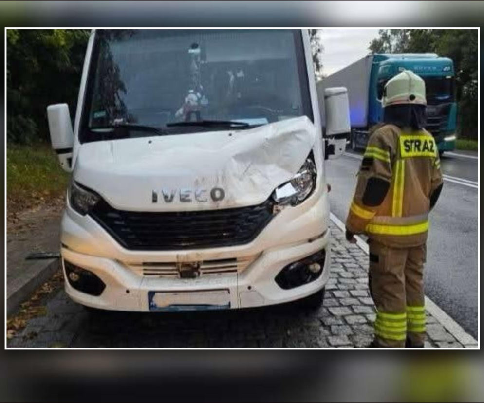 Bus szkolny zderzył się z łosiem!  Pojazdem podróżowało kilkanaścioro dzieci
