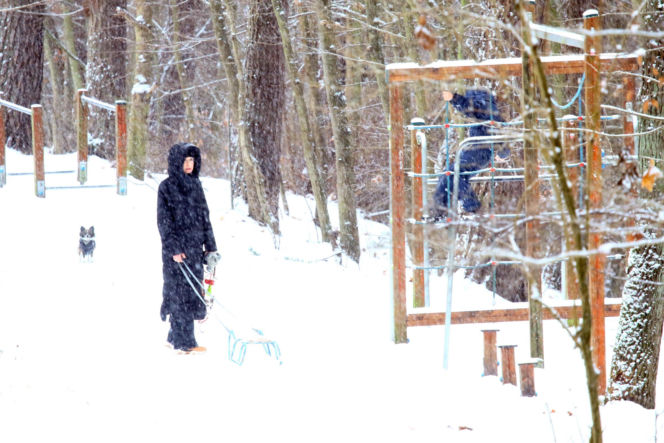 Marta Kaczyńska z synem i psami na sankach w lesie