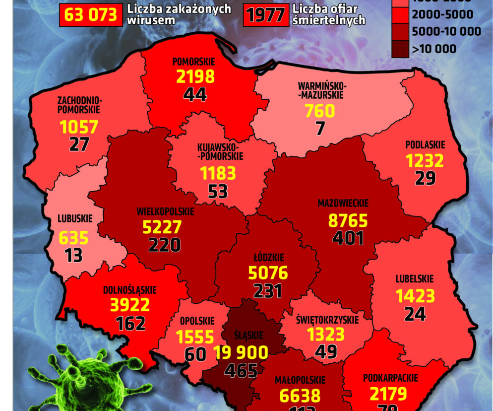 Koronawirus w Polsce. Statystyki, wykresy, grafiki (25 sierpnia)