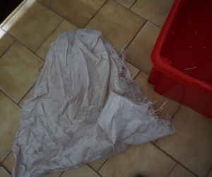 Pracownicy KTOZ podzielili się w sieci szokującymi zdjęciami