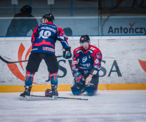 GKS Jastrzębie - KH Energa Toruń 6:5, zdjęcia z meczu
