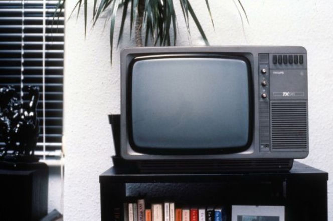 Telewizor