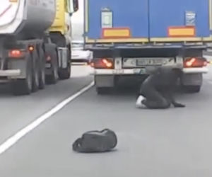 Uciekinier wypadł z tira