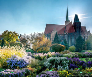 Ogród Botaniczny Uniwersytetu Wrocławskiego zachwyca zwłaszcza wiosną i latem
