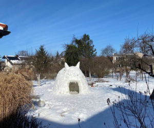We Wrocławiu powstał domek igloo. Przypomina uroczego kota!