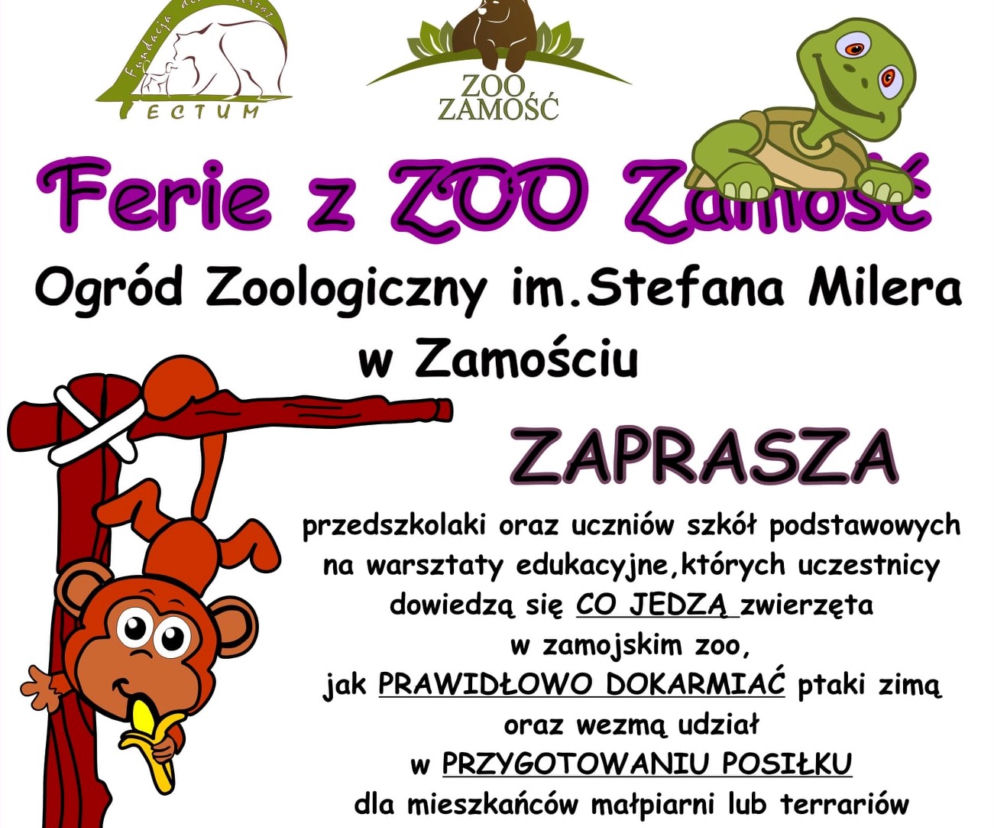 Ferie w ZOO