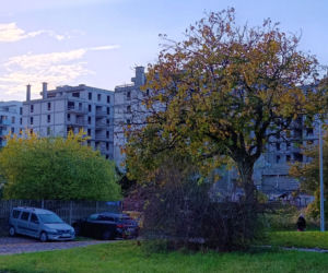 Inwestycje na Łasztowni i Kępie Parnickiej w Szczecinie