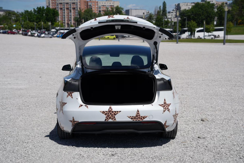 Bagi pozbywa się Tesli