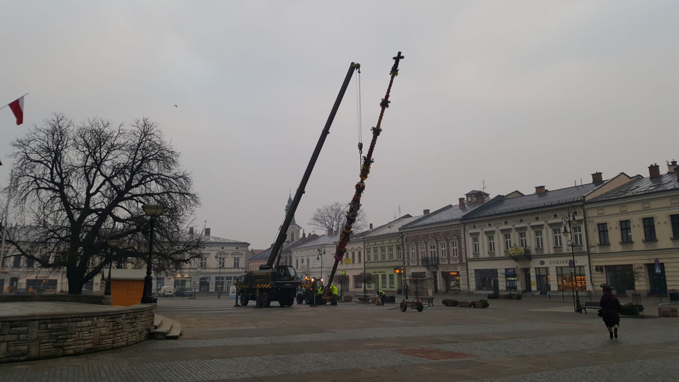 Ogromna palma wielkanocna na nowosądeckim Rynku 