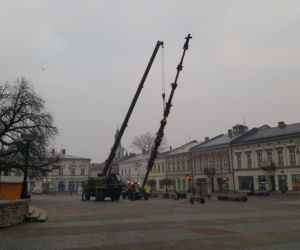Ogromna palma wielkanocna na nowosądeckim Rynku 