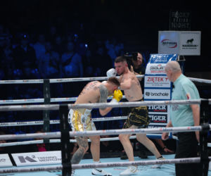 Kalinowski - Stępień