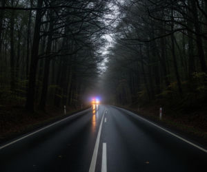 Dramat o zmroku. 61-latka nie przeżyła, kierowca walczył o życie. Policja szuka kluczowego świadka