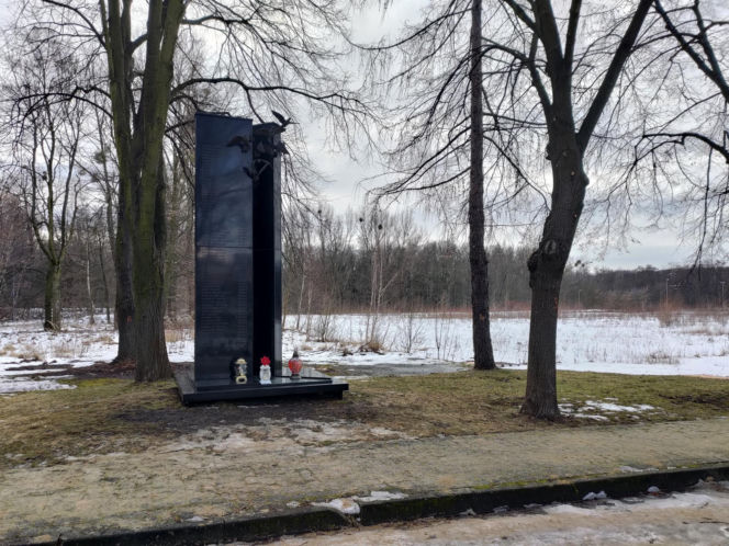 Przeżyła katastrofę hali MTK. Obok skonał jej mąż