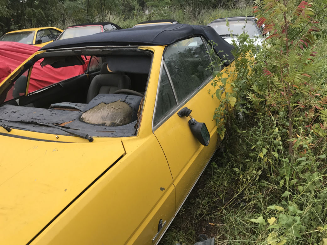 11 klasycznych Ferrari porzuconych w polu