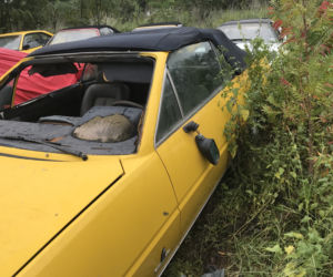 11 klasycznych Ferrari porzuconych w polu