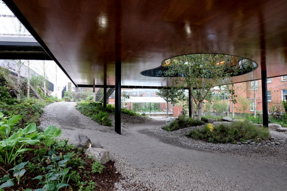 Maggie's Oldham - fot. Alex de Rijke, Jasmin Sohi & Jon Cardwell (10) (Copy) (Copy)