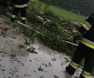 Nawałnica w gminie Lisia Góra łamała drzewa jak zapałki. Potężne zniszczenia 