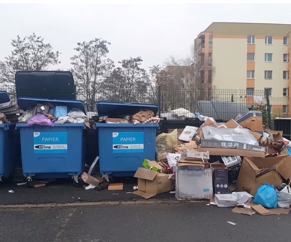 Ze śmietnika kipi! Sprawdzamy, jak idzie zegregacja śmieci w Bydgoszczy