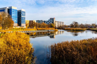 To najpiękniejsza pętla tramwajowa w Warszawie? Kiedyś pełna śmieci i zaniedbana, dziś zachwyca 