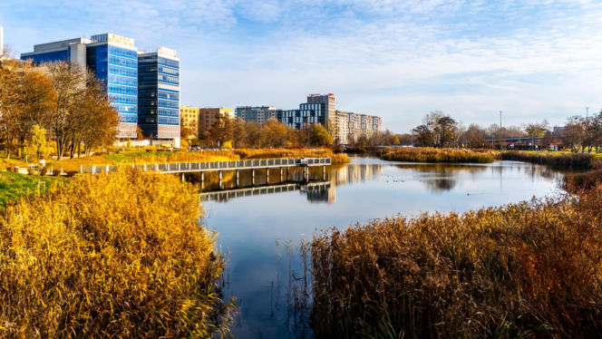 Pętla tramwajowa Wyścigi w Warszawie i okolice