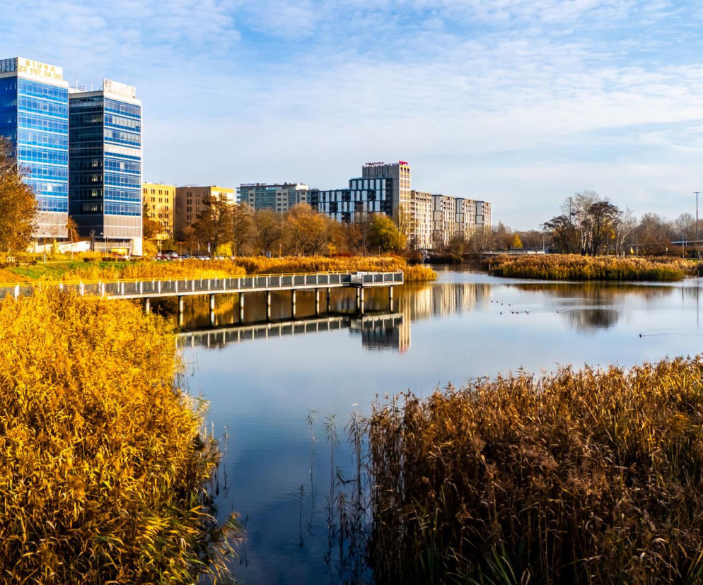 Pętla tramwajowa Wyścigi w Warszawie i okolice