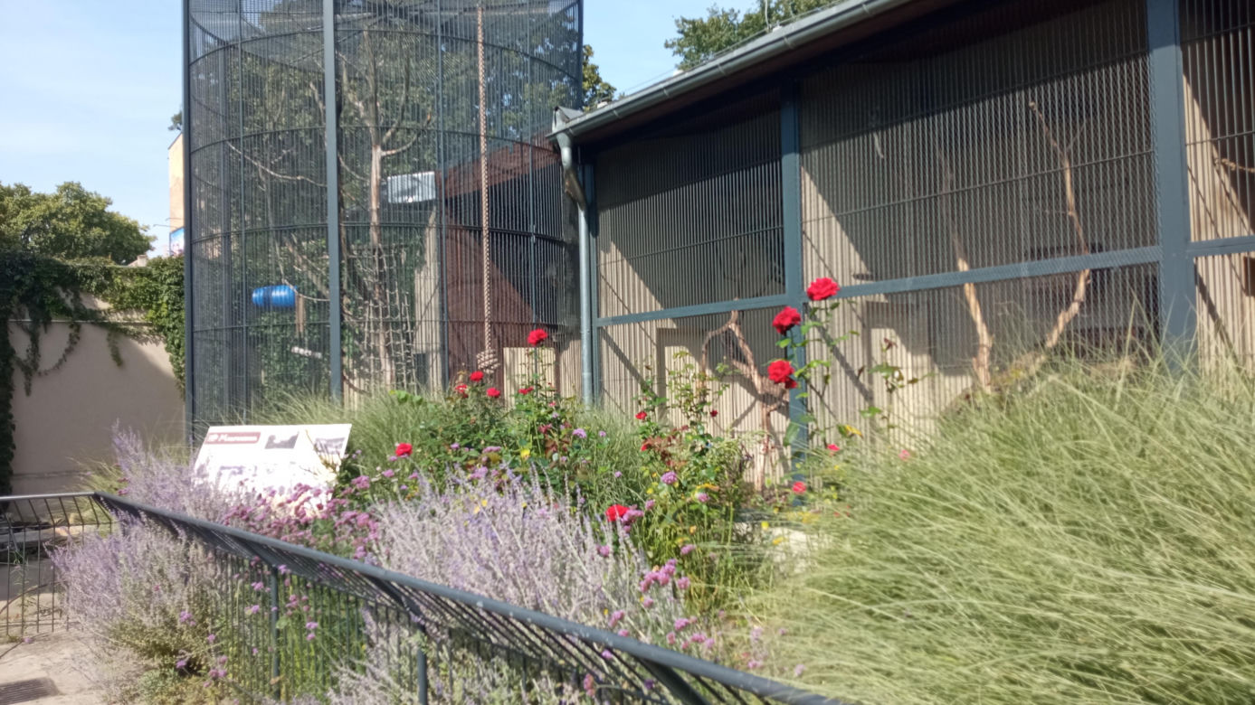 Stare ZOO w Poznaniu. Idealne miejsce na rodzinne spacery w sercu miasta 